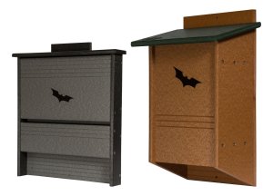 A display of the featured Bats