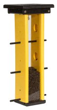 Finches