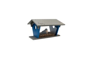 Bluebird Feeder #1