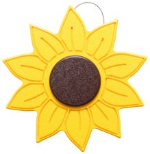 Sunflower Flowerhead